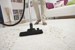 Aspiradora Antialérgica 2 Litros 1400W KARCHER DS6 *EU - Imagen 6